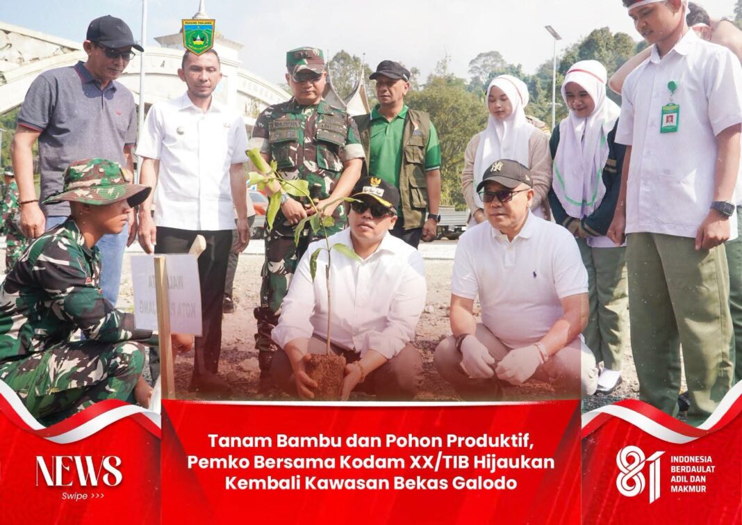 Tanam Pohon Bekas Galodo